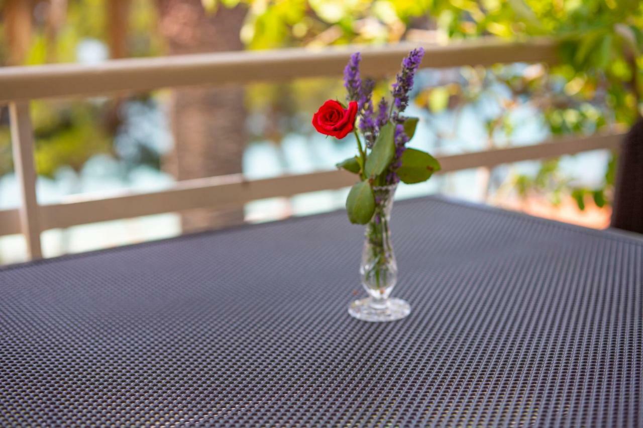 Vila Niko Apartment Makarska Ngoại thất bức ảnh